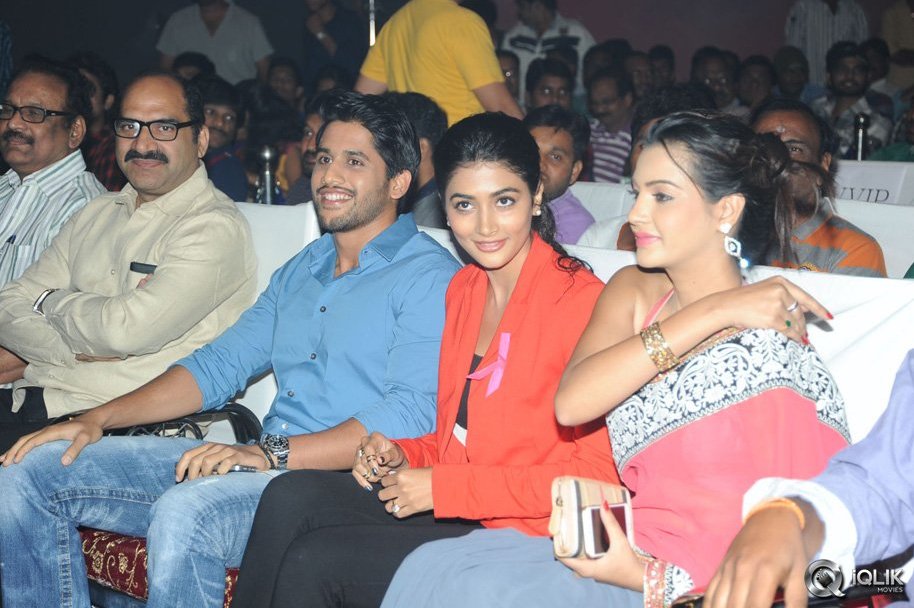 Oka-Laila-Kosam-Movie-Audio-Success-Function